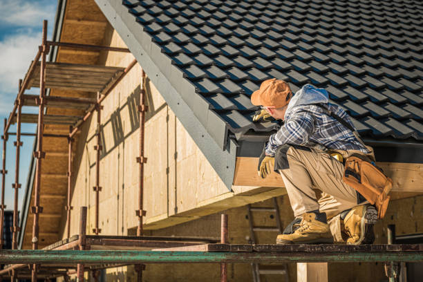 Best Roof Moss and Algae Removal  in Providence, UT
